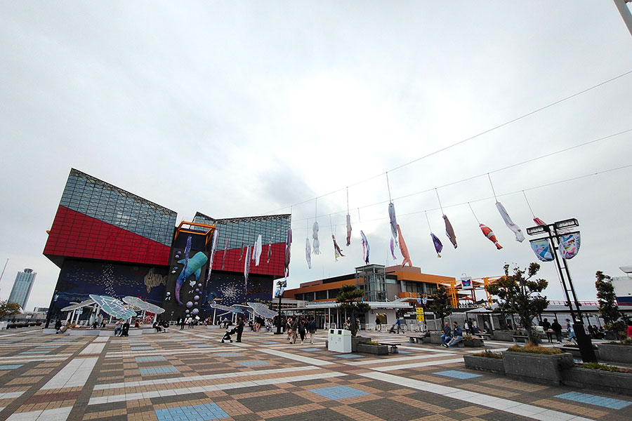【きょうから】鯉のぼりじゃなくて…大阪の空に泳ぐのは？「海遊館」で無料観覧スタート | Lmaga.jp