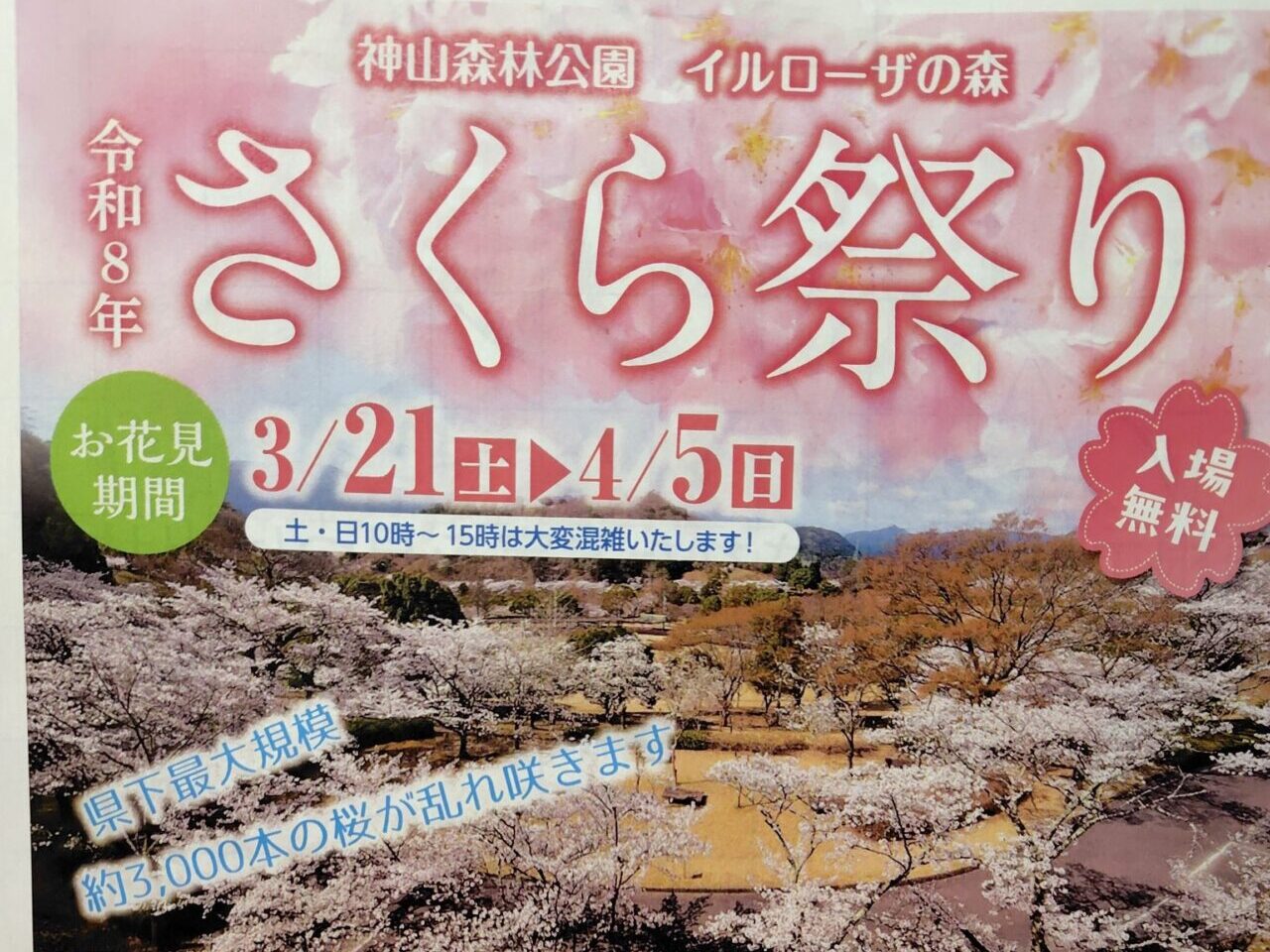 令和8年「さくら祭り」イベント関連画像。画像提供：「123」様