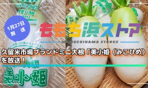 久留米市場 新ブランドミニ大根「美小姫（みこひめ）」を放送！ももち浜ストア