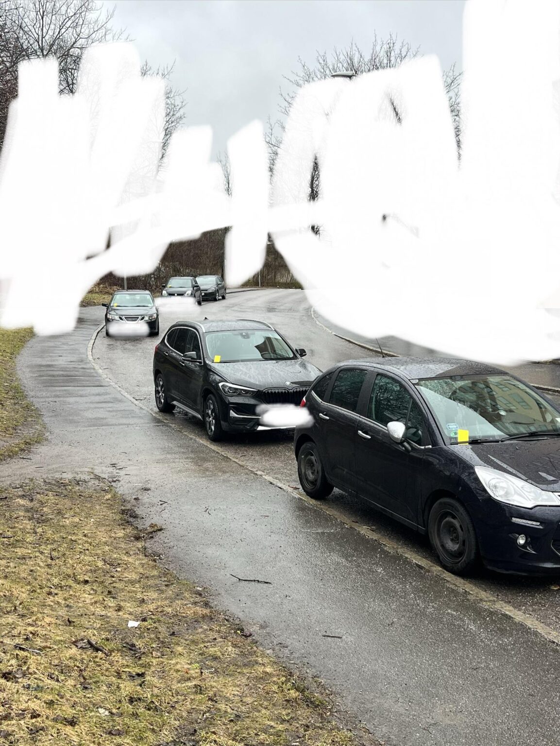 イエローイースター