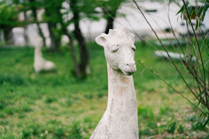 ダルマ自転車がゆく！第6回 @ 千歳山公園