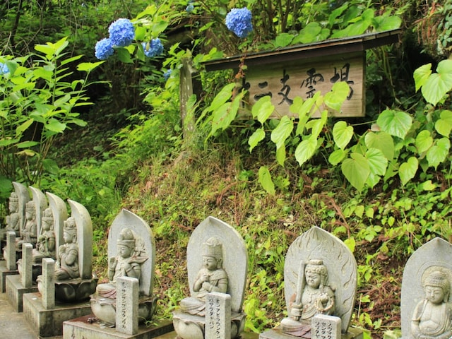 【埼玉県】「山の中にある露天風呂…」“薬湯”として親しまれてきた「小鹿野温泉大竜寺源泉」の魅力とは?