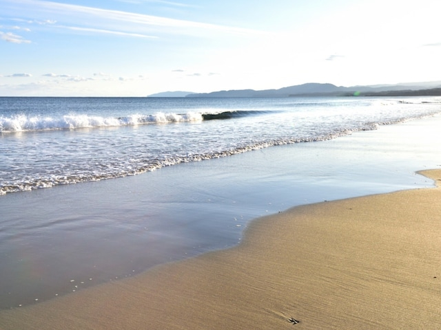 「読むのが難しい」と思う高知県の駅TOP10! 2位「浮鞭」を抑えた1位は?【2026年調査】