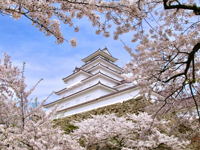 春に行きたいと思う「福島県の旅行先」ランキング! 2位「会津若松市」を抑えた1位は?【2026年調査】