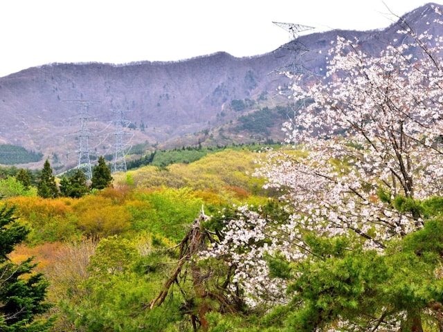 春に行きたいと思う「山形県の旅行先」ランキング! 2位「蔵王連峰」を抑えた1位は?【2026年調査】