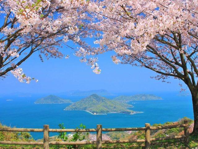 「必見の場所」香川県の“行ってみたい＆好きな桜の名所”TOP11！ 1位に称賛の声続々【2026年調査】
