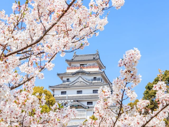 「約3000本の桜が咲き乱れる」佐賀県の“行ってみたい＆好きな桜の名所”ランキング1位に称賛の声！【2026年調査】