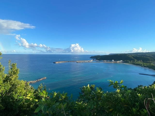 【30代男女274人に聞いた】春に行きたい「沖縄県の旅行先」ランキング！ 2位「ジャングリア沖縄」を抑えた1位は？