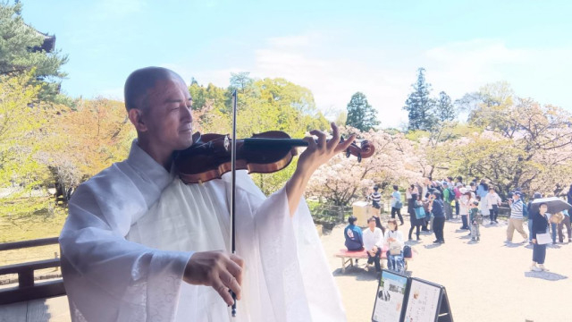 遅咲きの御室桜、ヴァイオリンを弾く僧侶 世界遺産・仁和寺で春のフィナーレ