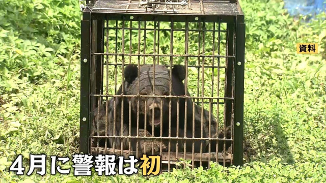 自衛隊員や警察官もクマに襲われ…春グマが異例の早さで出没！青森も岩手も…東北各地でクマ出没警報が過去最速で発表