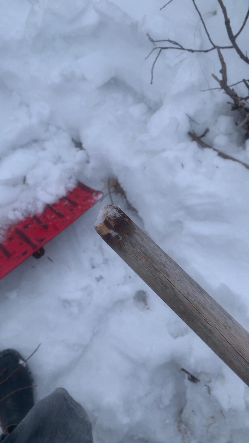 もう十分です…。