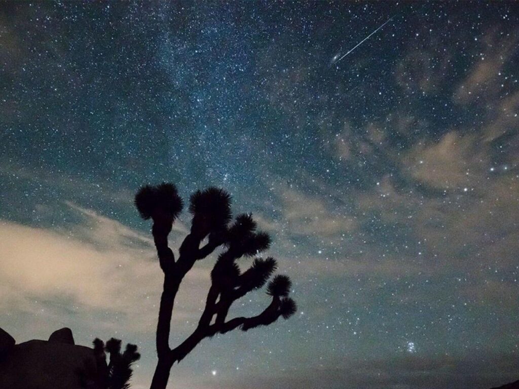 4月は2つの流星群に注目　こと座＆みずがめ座流星群はいつ見える？ - CNET Japan