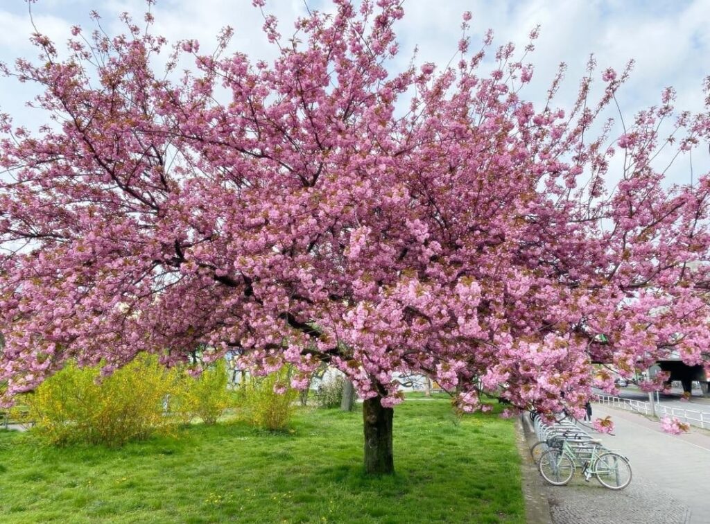 2年前にベルリンで撮りました