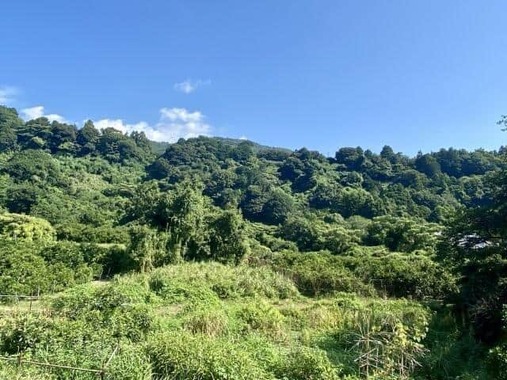 山林に遺棄されるまで、遺体はどこに隠されていたのか（画像はイメージ）