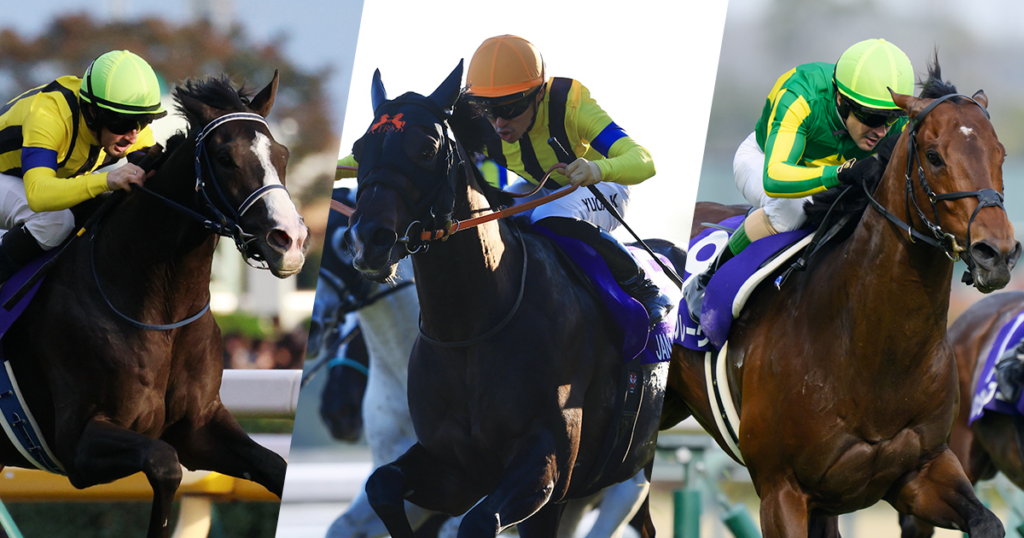 見どころ | 2026クイーンエリザベス2世カップ | JRA-VAN World