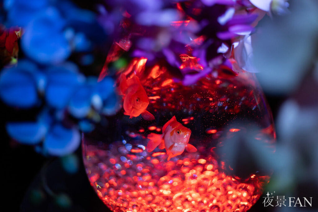 【現地レポ】埼玉県初上陸！アートアクアリウム展 さいたまスーパーアリーナ2026 全12エリアをレポート | 夜景FANマガジン