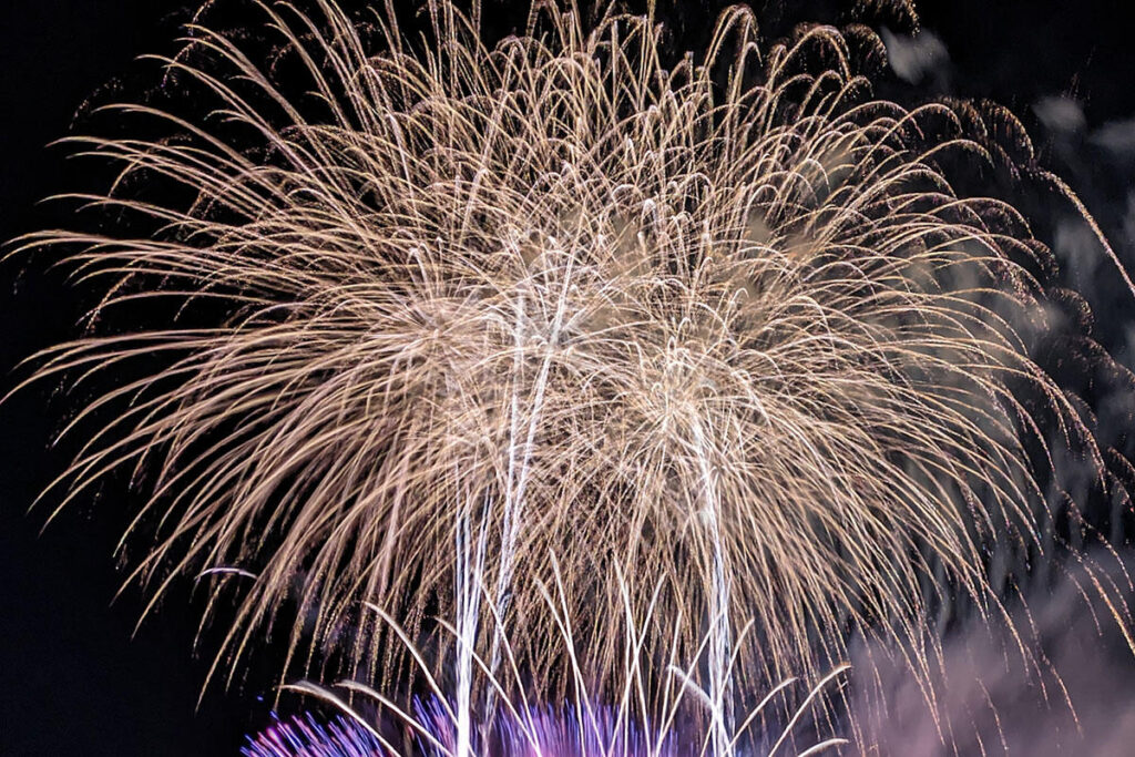 【2026】群馬・安中「第7回後閑城址公園桜まつり花火大会」が本日開催！ | 夜景FANマガジン