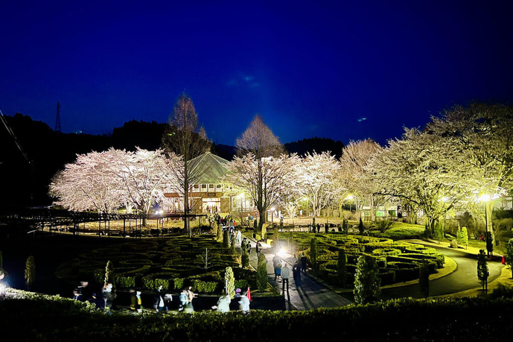 【2026】群馬・中之条ガーデンズで夜桜ライトアップ開催、雅楽と地ビールで楽しむ春の夜景 | 夜景FANマガジン 【2026】群馬・中之条ガーデンズで夜桜ライトアップ開催、雅楽と地ビールで楽しむ春の夜景 | 夜景FANマガジン