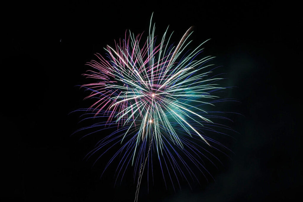 【2026】愛知・豊橋「大清水神社 お花見会」が本日開催！花火の打ち上げも | 夜景FANマガジン