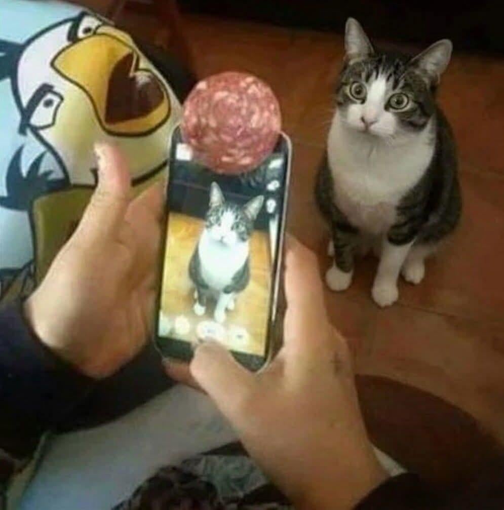 にゃーんちゃん