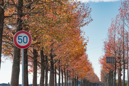 〖企画連載 Vol.8〗あわら色｜写真家 tomosaki が切り取る 情景：紀伊民報AGARA｜和歌山県のニュースサイト