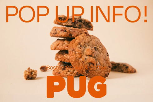 PUG（パグ）クッキー 広島パルコポップアップ