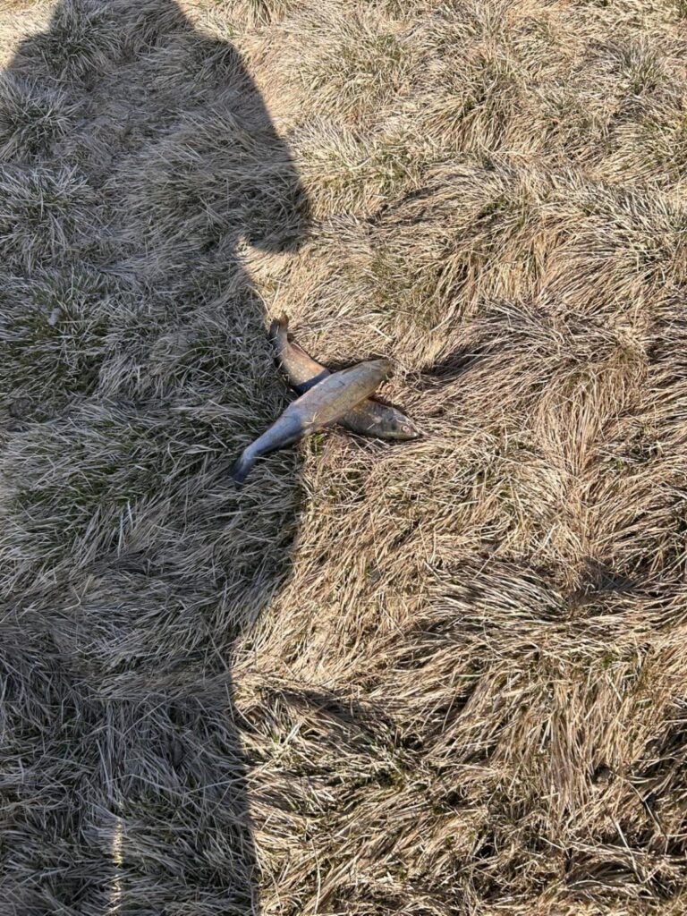 ペットの飼い主への注意事項