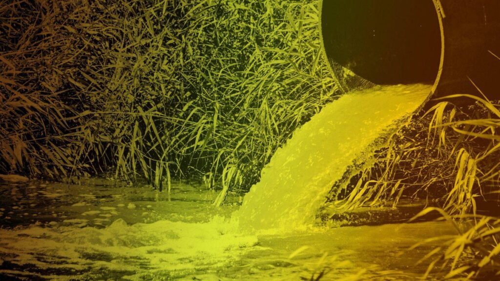 最後に、下水スキャンダルで水道会社が記録的な96件の犯罪捜査に見舞われた