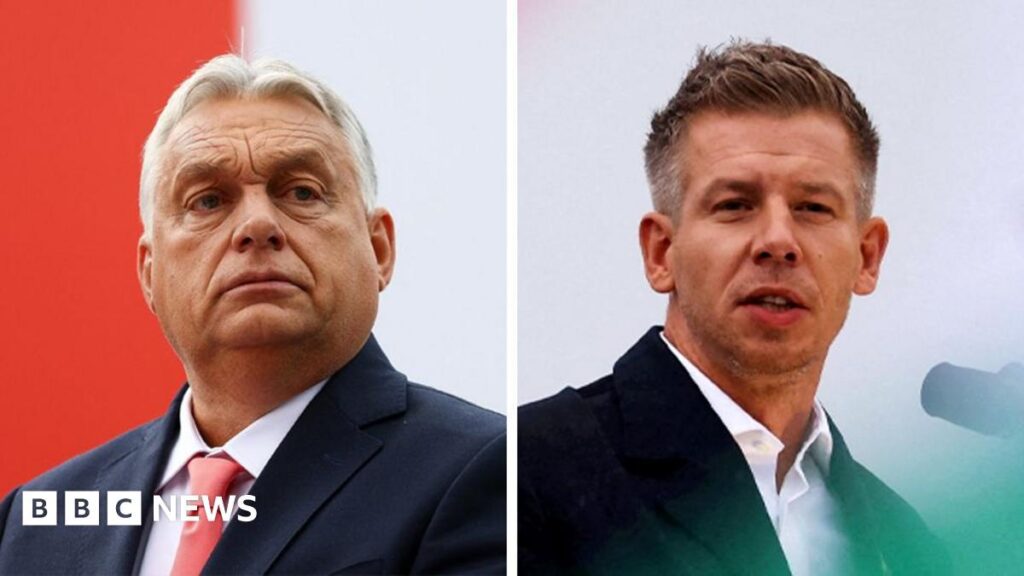 オルバン氏、敗北を認める