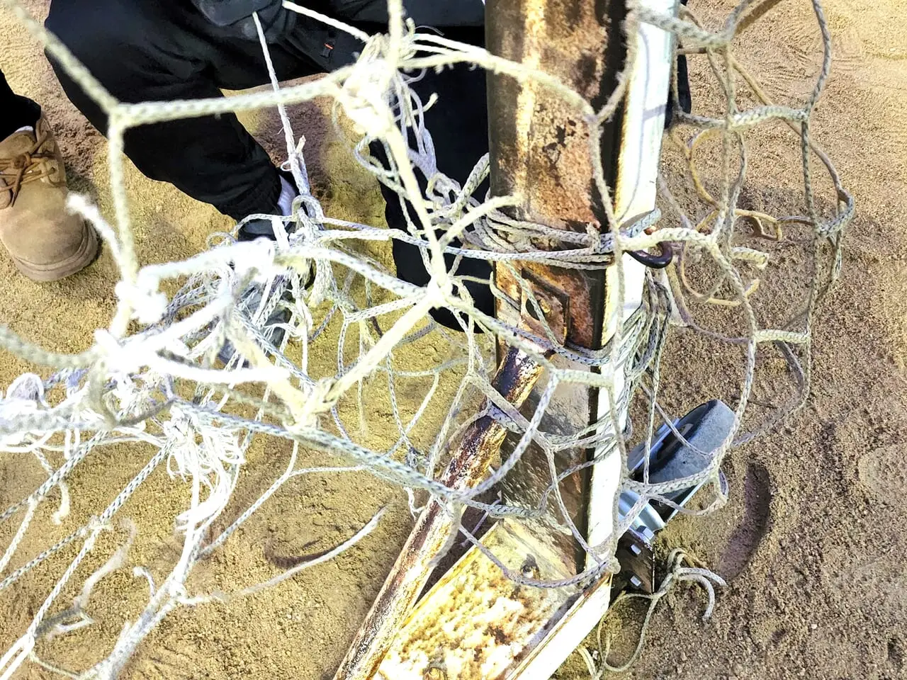 古いゴールネットを切って取り外していく作業（佐古小学校）