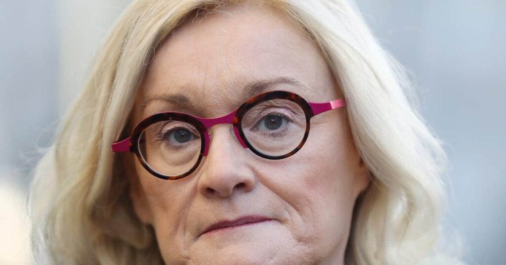 エスコートウェブサイト、性売買を犯罪とするアイルランドの法律を「嘲笑」