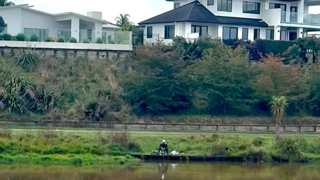 住宅街の池に怪魚？ニュージーランドで出会う「テンチ」と「パーチ」の正体（リコ） - エキスパート - Yahoo!ニュース