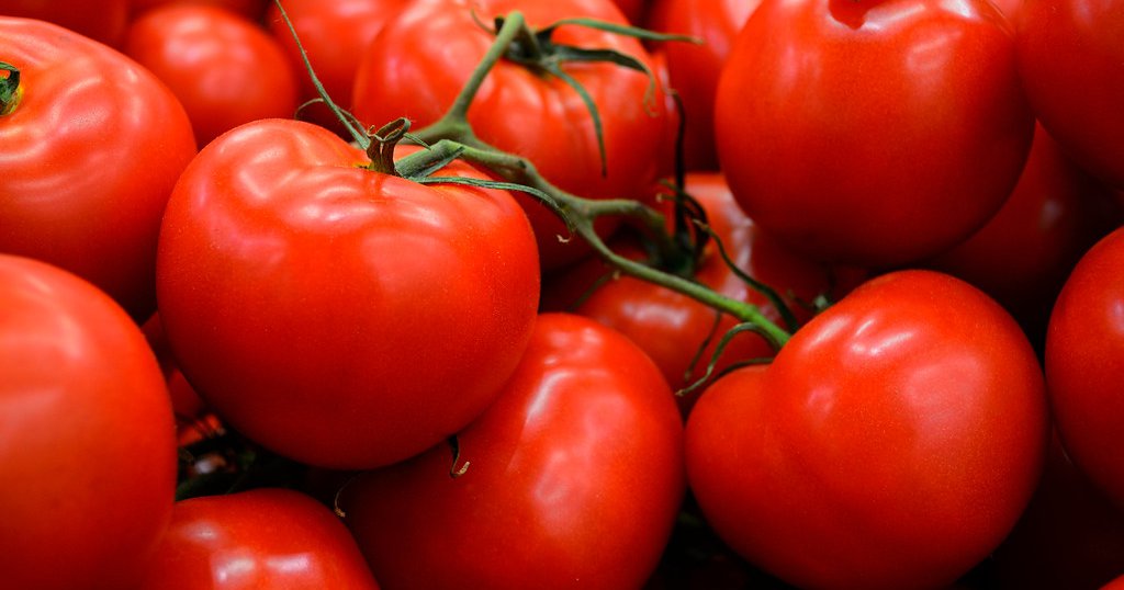 Morocco: Undocumented migrants from sub-Saharan Africa allegedly subjected to exploitation on farms supplying vegetables to Europe, incl. dangerous working conditions