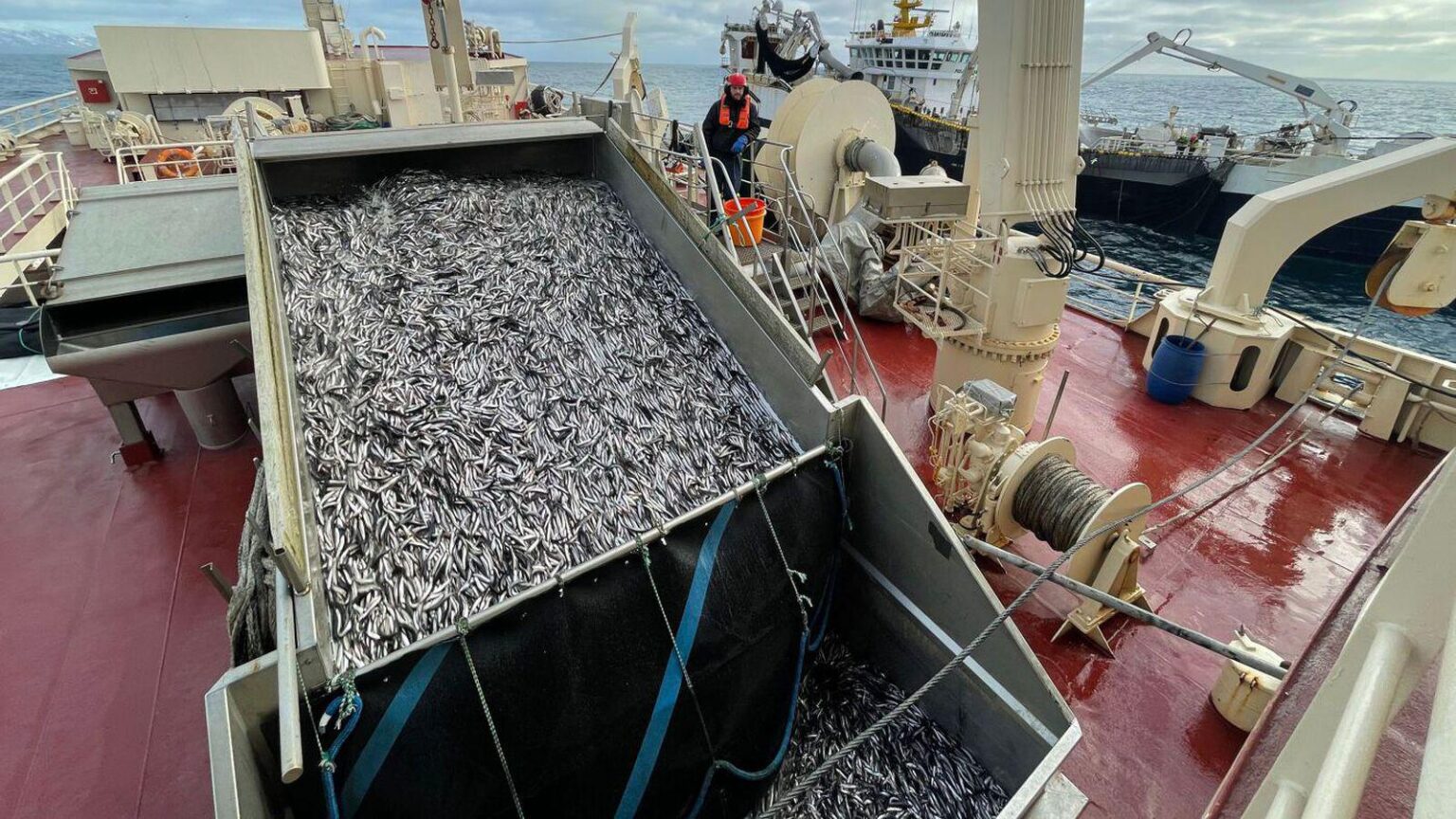 アイスランドは汚職に満ちた「現代の寡頭制」と評される