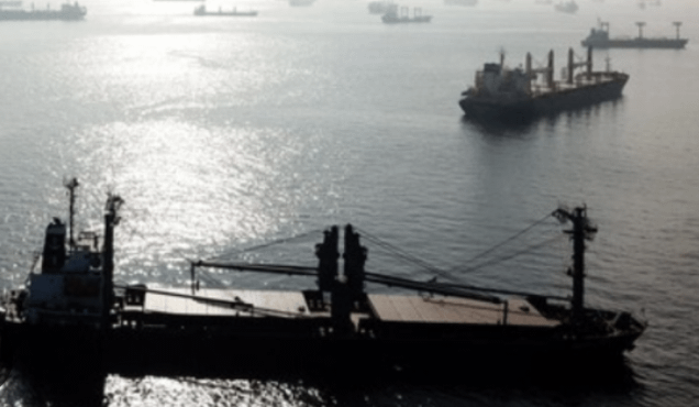 EUは、ロシアの影の艦隊が石油規制を回避できるよう、外国の港やターミナルに対する制裁を準備している。欧州はこれらの拠点を標的にすることで、違法輸出によるクレムリンの収入を維持するために使われている主要ルートを解体することを目指している。