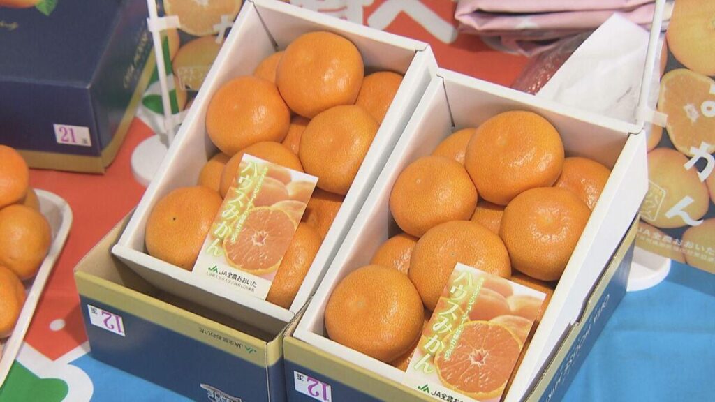 大分ハウスみかんの初競り ご祝儀相場で5キロ18万円、1玉6000円の高値