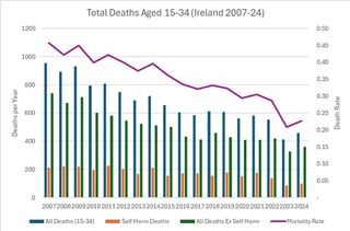 「なぜこれほど多くの若者が亡くなっているのか？」 - アイルランドにおけるソーシャルメディアの誤った情報