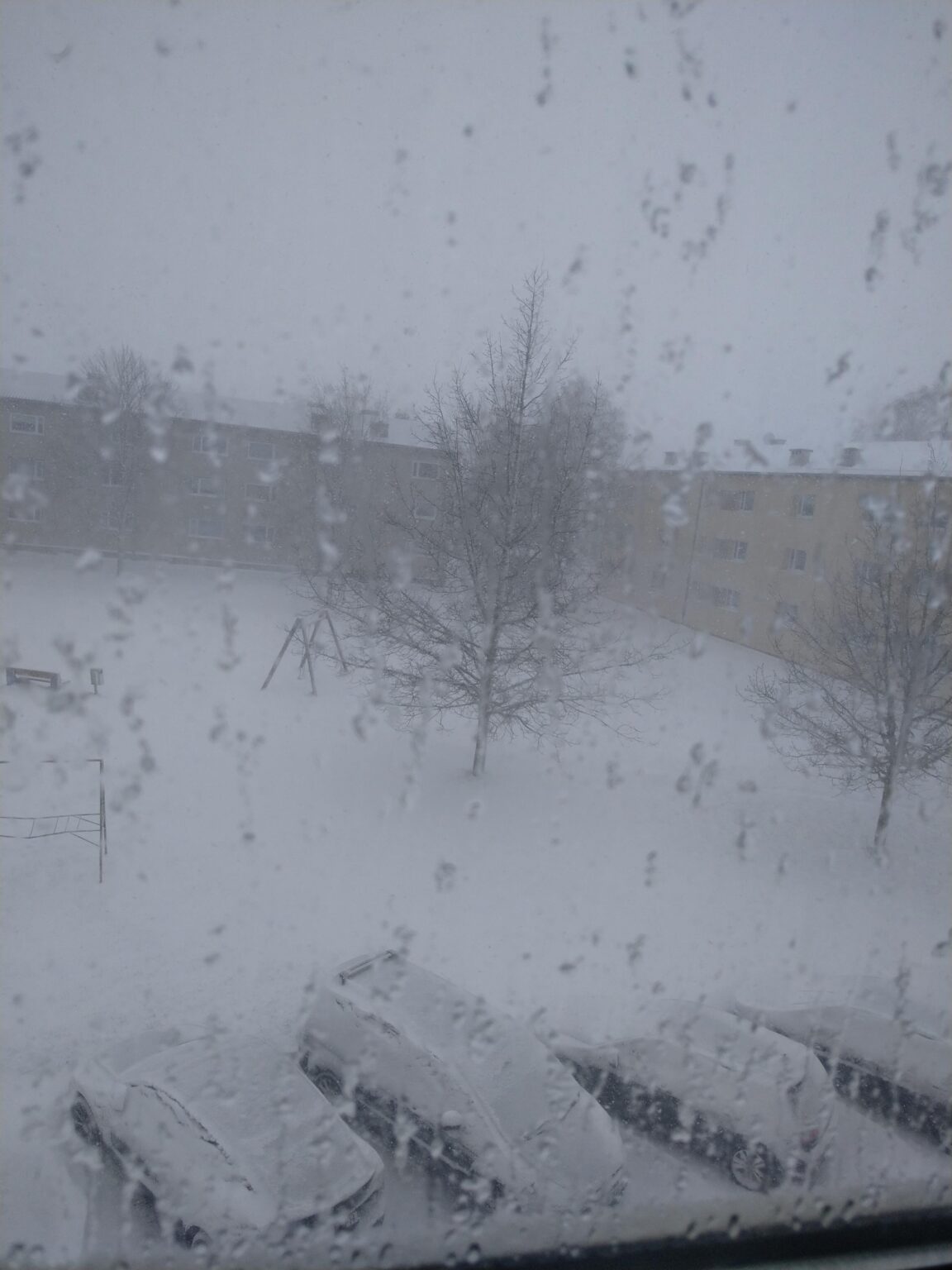 さあ、誰がこの吹雪を命じたのか言うと？