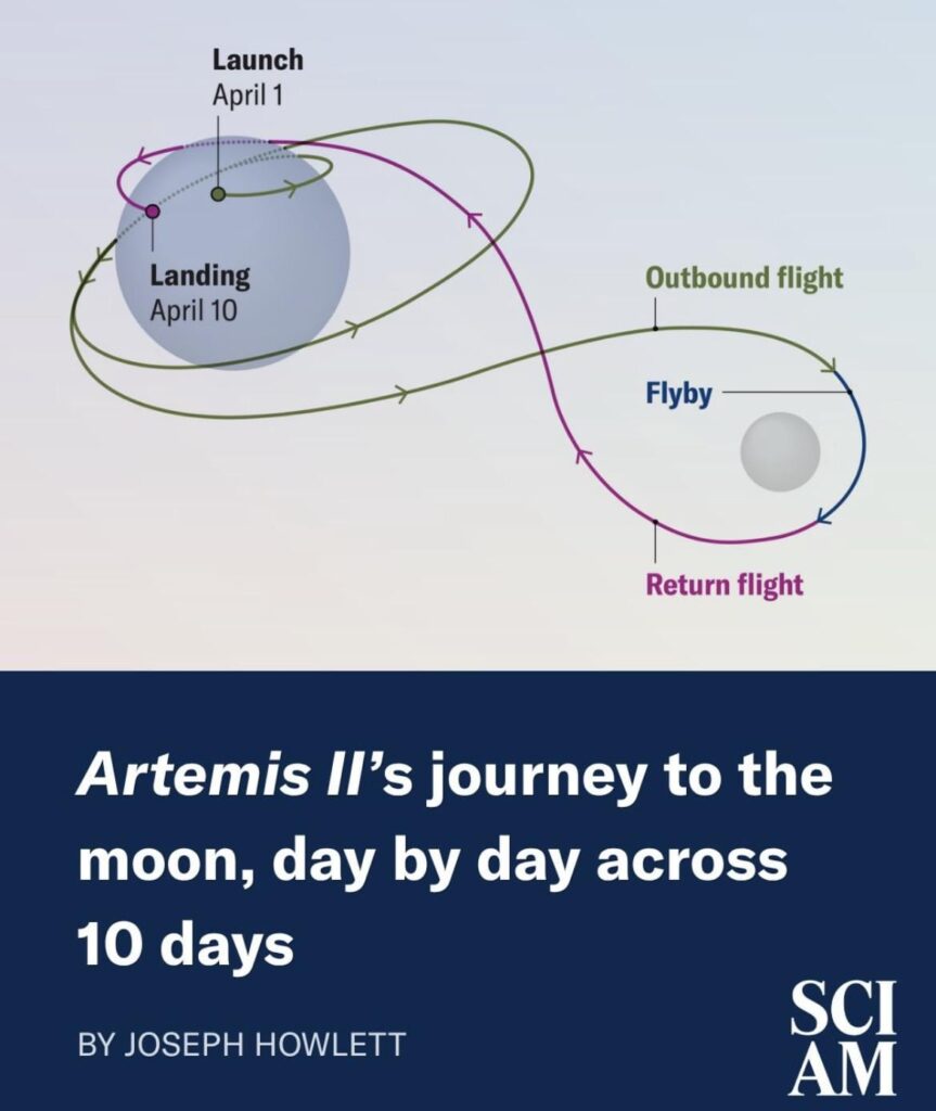 ミス・アルテミスⅡ