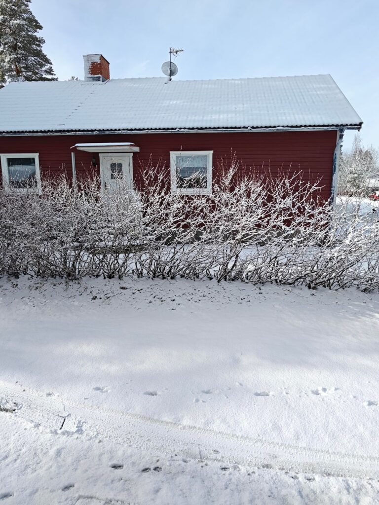 3日前は日陰で18度あり、外ではTシャツを着られるくらいでした。