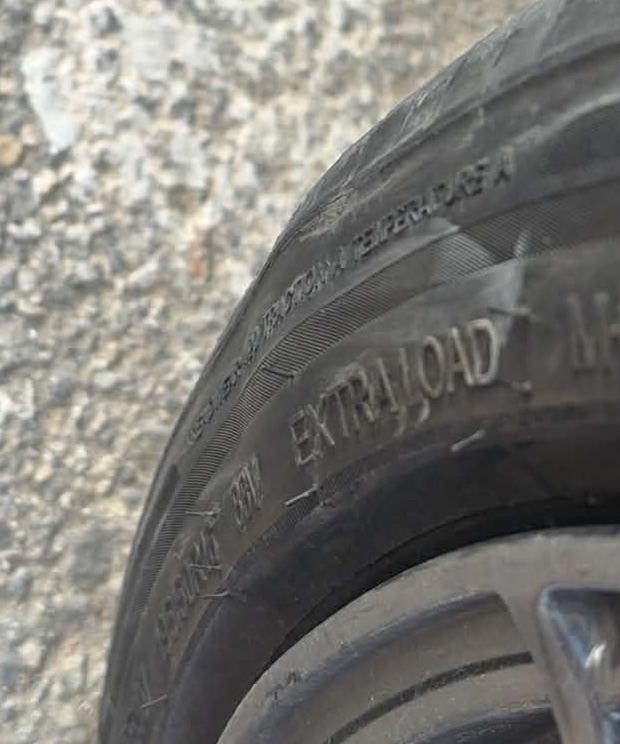 グラッツィ チルス ビーニー