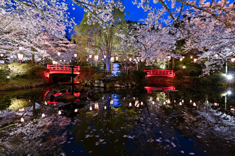 打吹公園ぼんぼり設置点灯　ライトアップ