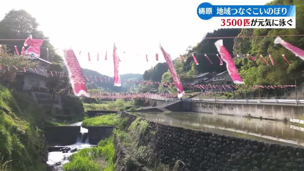 共有