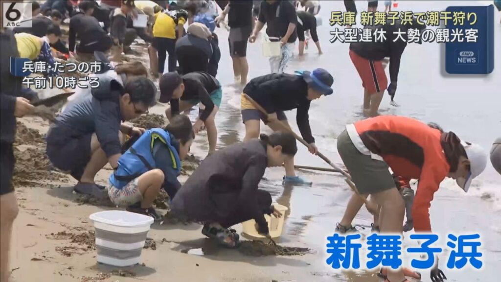ＧＷ　新舞子浜で潮干狩り　家族連れらでにぎわう　兵庫・たつの市
