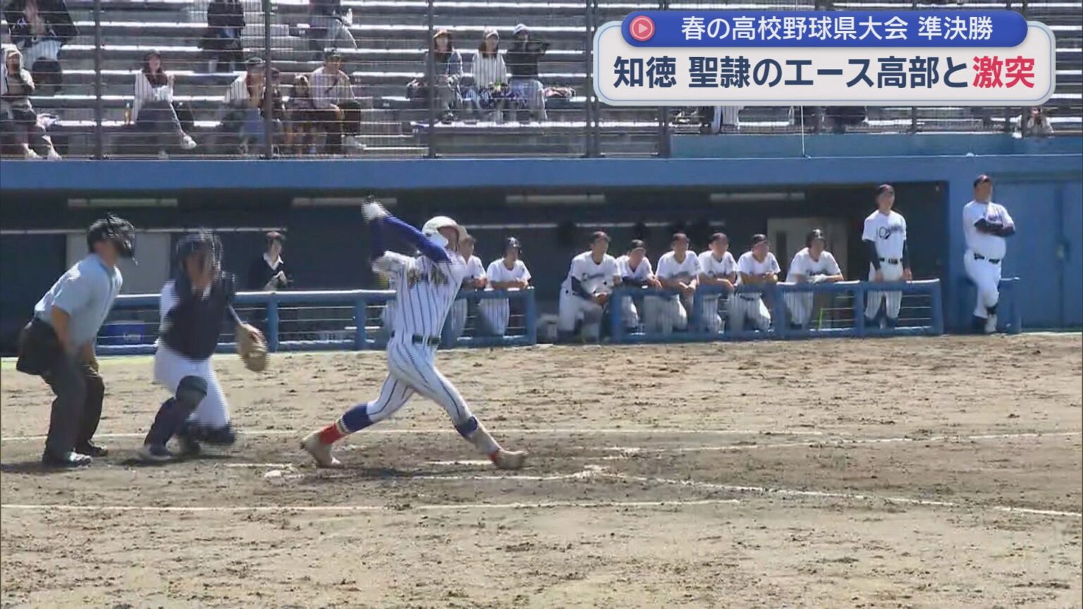 知徳と浜松商業が決勝進出　東海大会へ　春の高校野球静岡県大会 - LOOK 静岡朝日テレビ