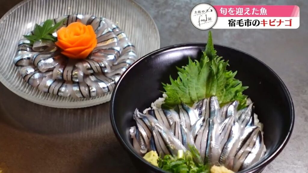 《特集・旬の季節を迎えた宿毛のキビナゴ》定番から地元で愛される味【高知】(2026年5月14日掲載)|RKC NEWS NNN 共有