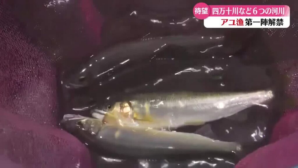 共有