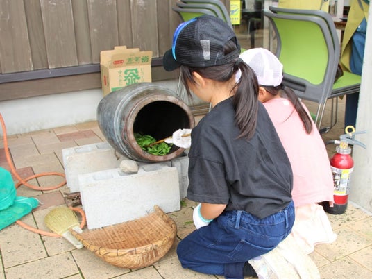 【JAF鹿児島】初開催『伝統の「はんず茶」づくり』参加者募集！ 鹿児島県立短期大学 お茶育研究会コラボ ～古くから伝わるお茶の製法を体験しませんか？～ - 鹿児島経済新聞