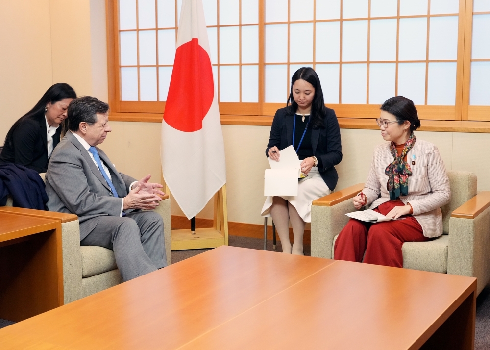 会談する国光外務副大臣とイニゴ・デ・パラシオ駐日スペイン大使