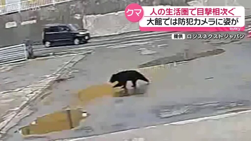 共有